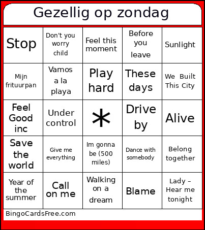 Muziek Gezellig Op Zondag Bingo Card