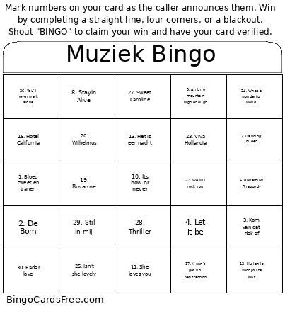 Muziek 2 Bingo Card
