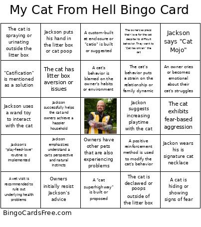 My Cat From Hell Bingo Card