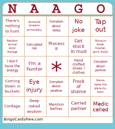 NAAGO Bingo Card 2