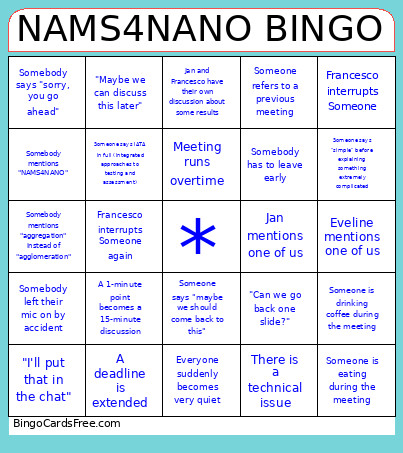 NAMS4NANO Bingo Card