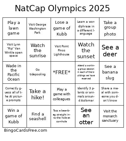 NatCap Olympics 2025 Bingo Cards Free Pdf Printable Game, Title: NatCap Olympics 2025