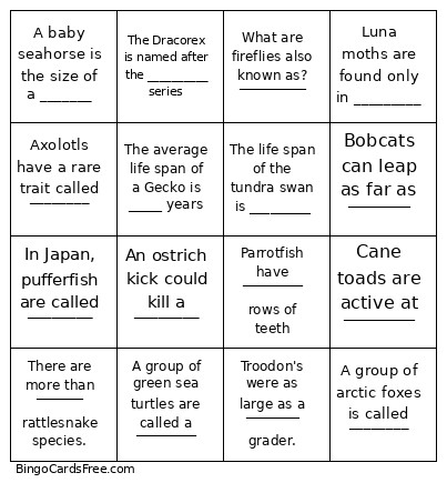 NatGeo Bingo Card
