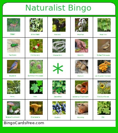 Naturalist Bingo