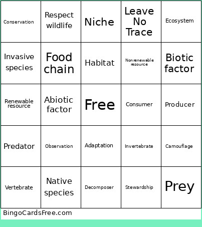Nature Bingo Card