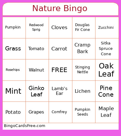 Nature Bingo Card 2