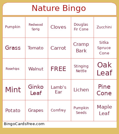 Nature Bingo Card