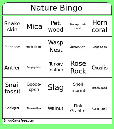 Nature Bingo Card