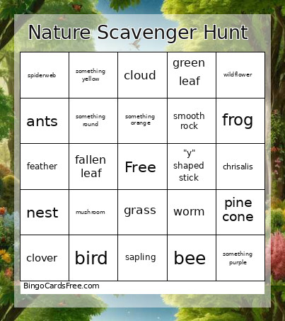 Nature Scavenger Hunt 1 Bingo Card