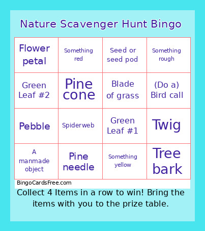 Nature Scavenger Hunt Bingo Card