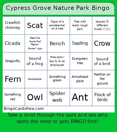 Nature Trail Scavenger Hunt Bingo Card