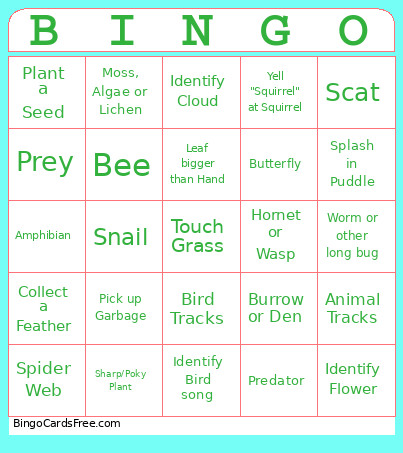 Nature Walk Bingo Card