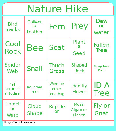 Nature Walk Bingo Card