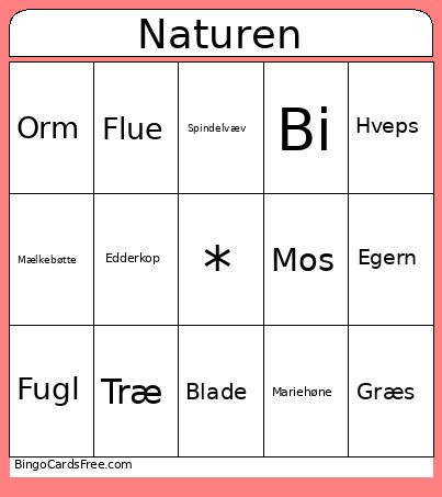 Naturen Bingo Card