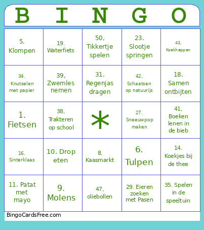Nederlandse Les Bingo Card