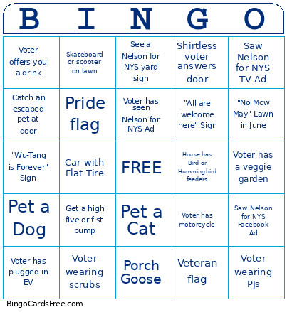 Nelson For NYS Canvasser Bingo Card