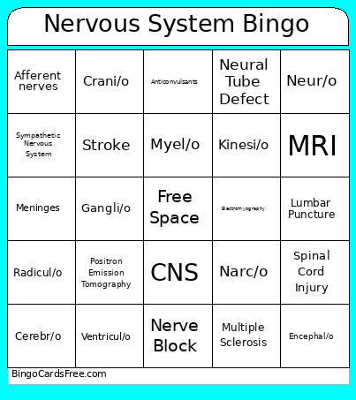 Nervous System Bingo Card