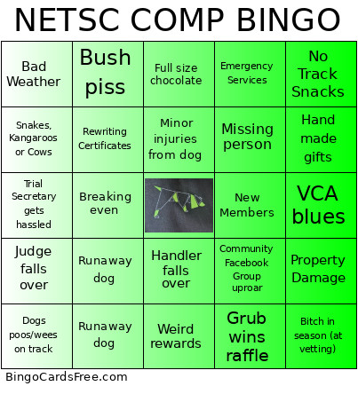 NETSC COMP Bingo Card