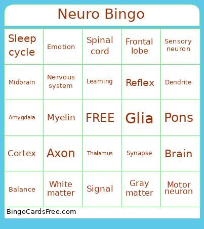 Neuro Bingo