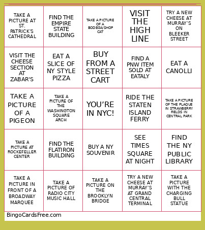 New York Bingo Card