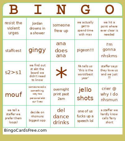NHSMUN Bingo Card