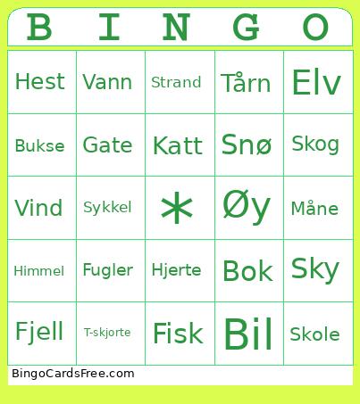 Norsk Bingo Card