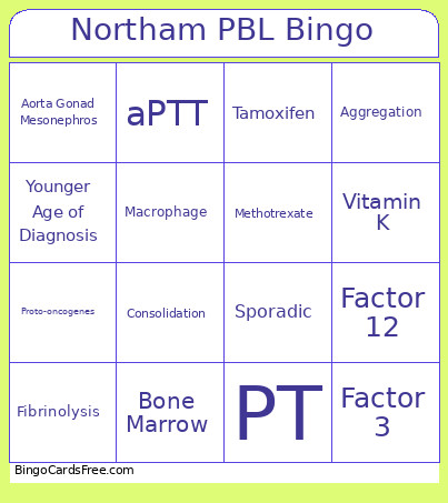 Northam PBL Bingo Card