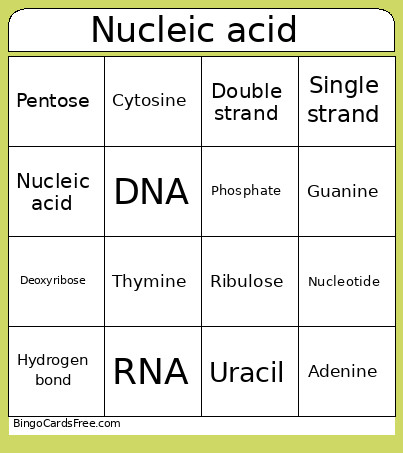 Nucleic Acid Bingo Card