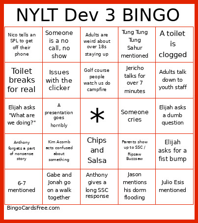 NYLT Dev 3 Bingo Card