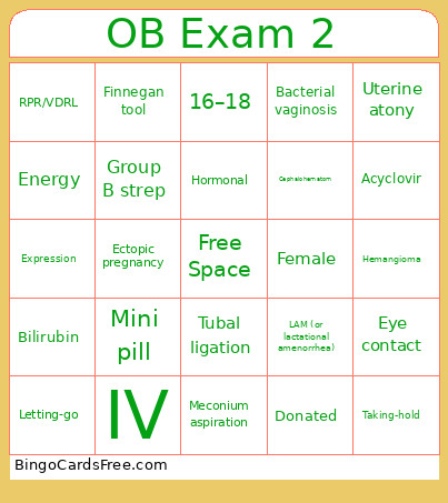 OB Exam 2 Review Bingo Card
