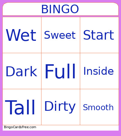 Opposites Bingo Card