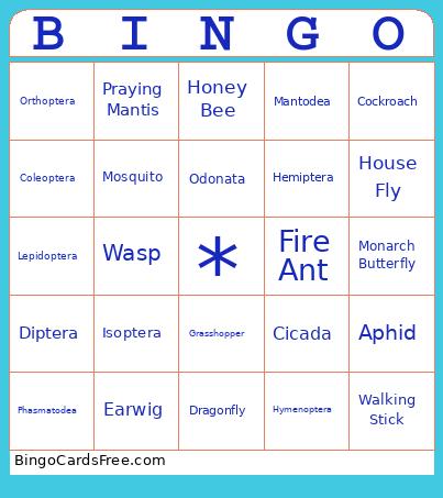 Order Of Bugs Bingo Card