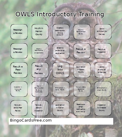 OWLS Introductory Training Bingo Card