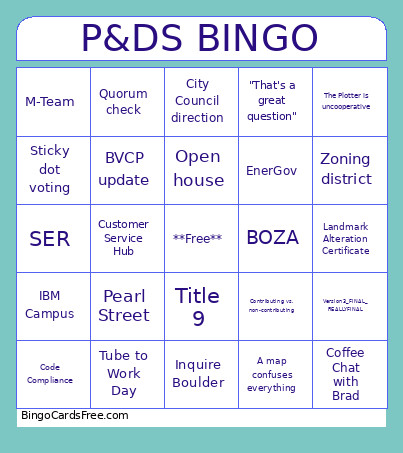 P&DS Bingo Card