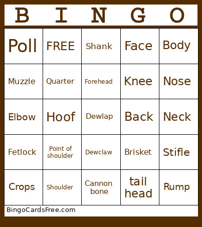 Parts Of A Beef Animal Bingo Card