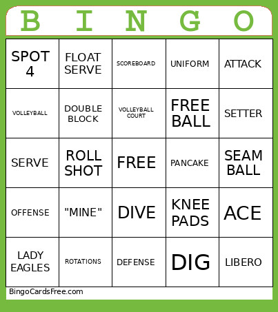 Pasadena Volleyball Bingo Card