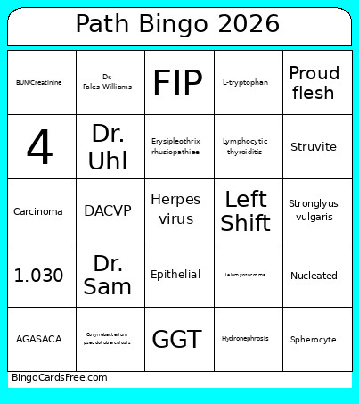 Path 2026 Bingo Card