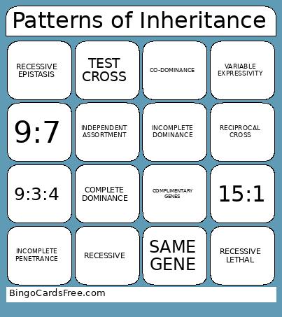 Patterns Of Inheritance Bingo Card