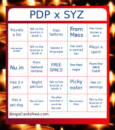 PDP SYZ COLLAB Bingo Card