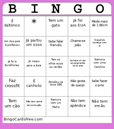 Pedro E Violeta Bingo Card