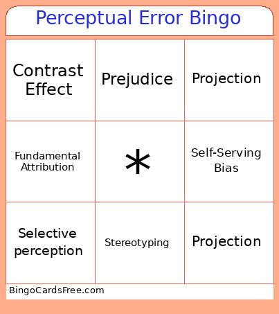 Perceptual Error Bingo Card