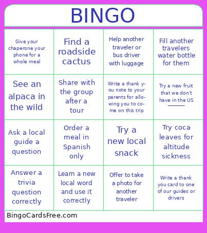 Peru Adventure Bingo