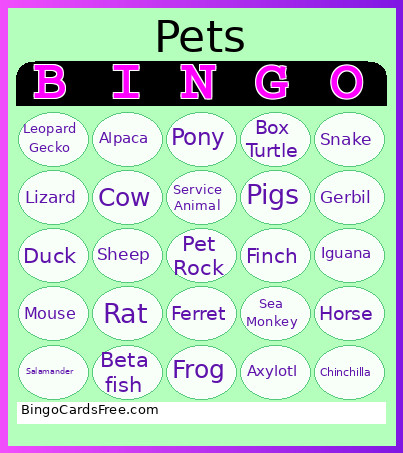 Pet Bingo Card