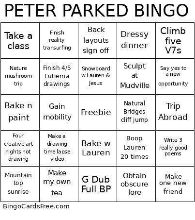 PETER PARKED Bingo Card