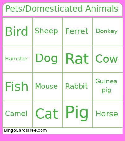 Pets/Domesticated Animals Bingo Card
