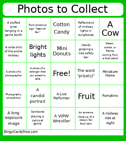 Photos To Collect Bingo Card