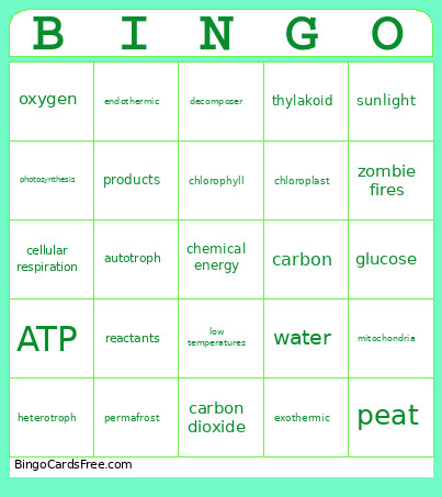 Photosynthesis & Cellular Respiration Bingo Card