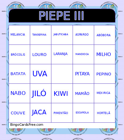 PIEPE III VERSAO FINAL Bingo Card