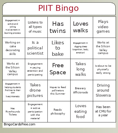 PIIT Bingo Card