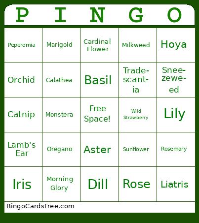 Pingo Bingo Cards Free Pdf Printable Game, Title: PINGO
